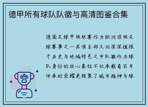 德甲所有球队队徽与高清图鉴合集